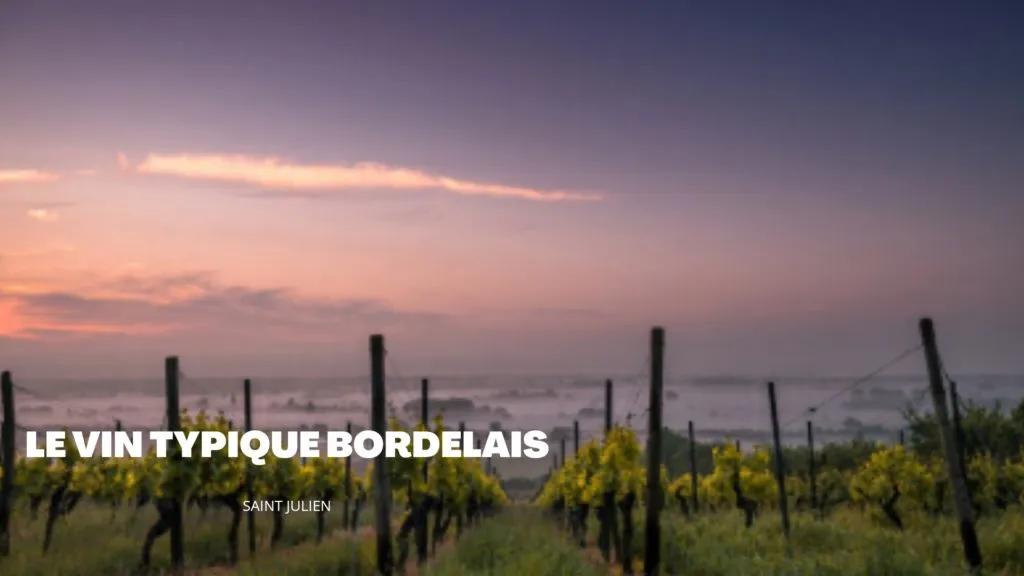 vignoble bordelais